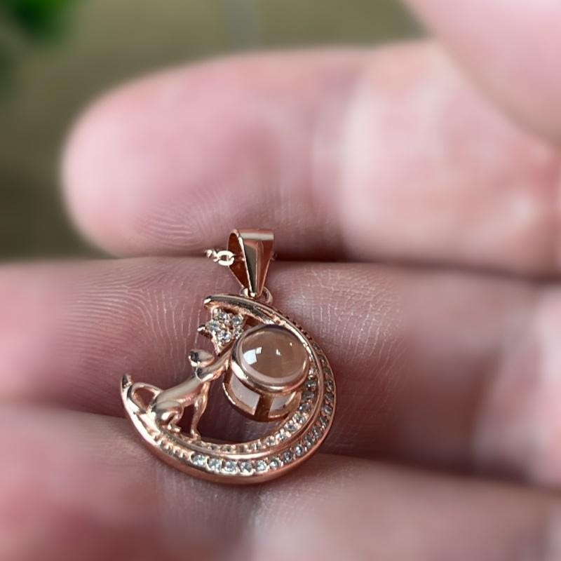 Custom Pet Photo Projection Necklace, Sterling Silver, Memorial Gift