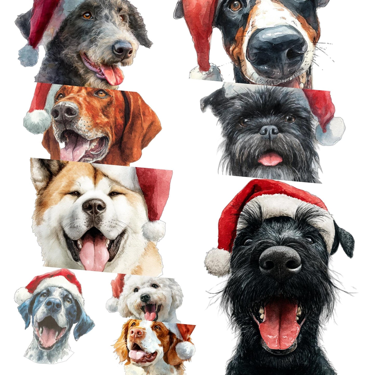 Watercolor Christmas Dogs PNG: 100 Breeds with Santa Hats (Digital Download)
