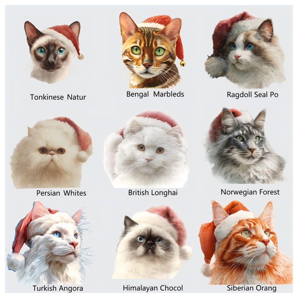 Watercolor Christmas Cats PNG: 100 Festive Cat Breeds (Digital Download)