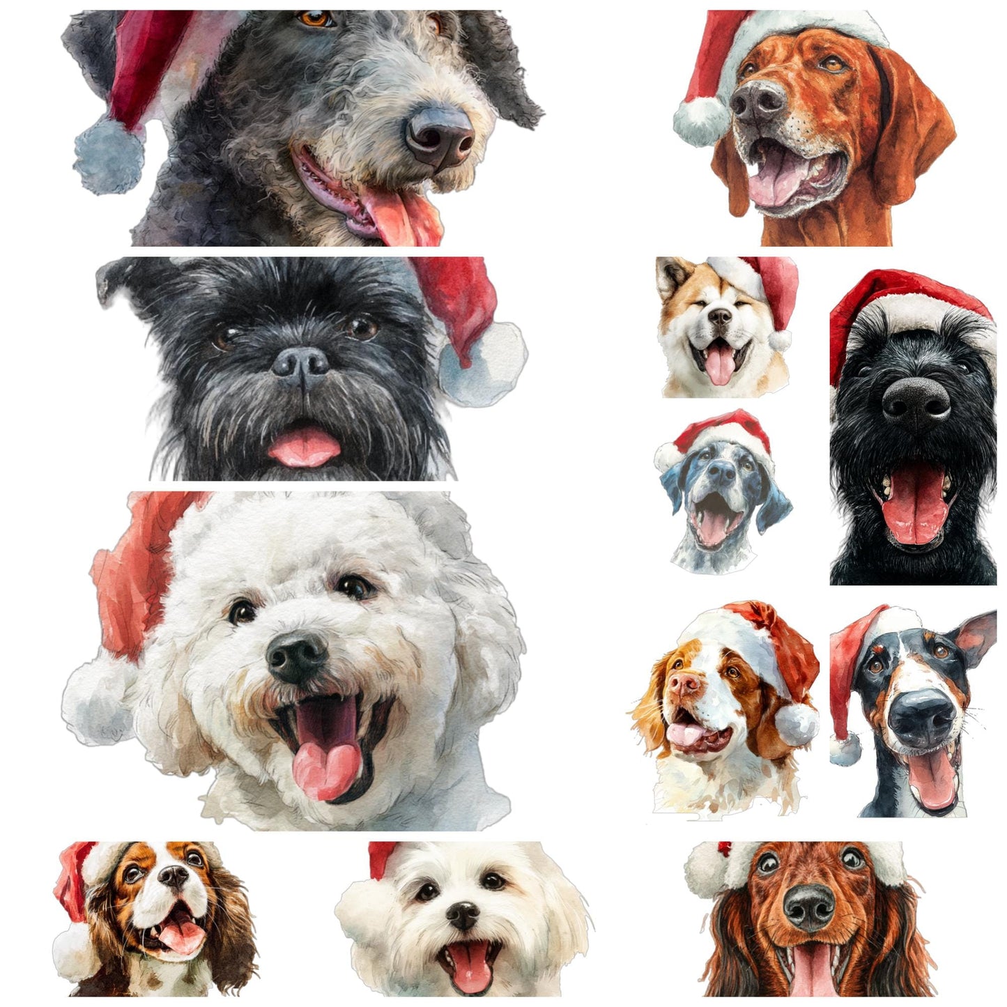 Watercolor Christmas Dogs PNG: 100 Breeds with Santa Hats (Digital Download)