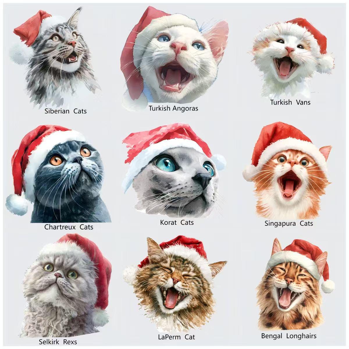 Watercolor Christmas Cats PNG | Festive Santa Hats (Digital Download)